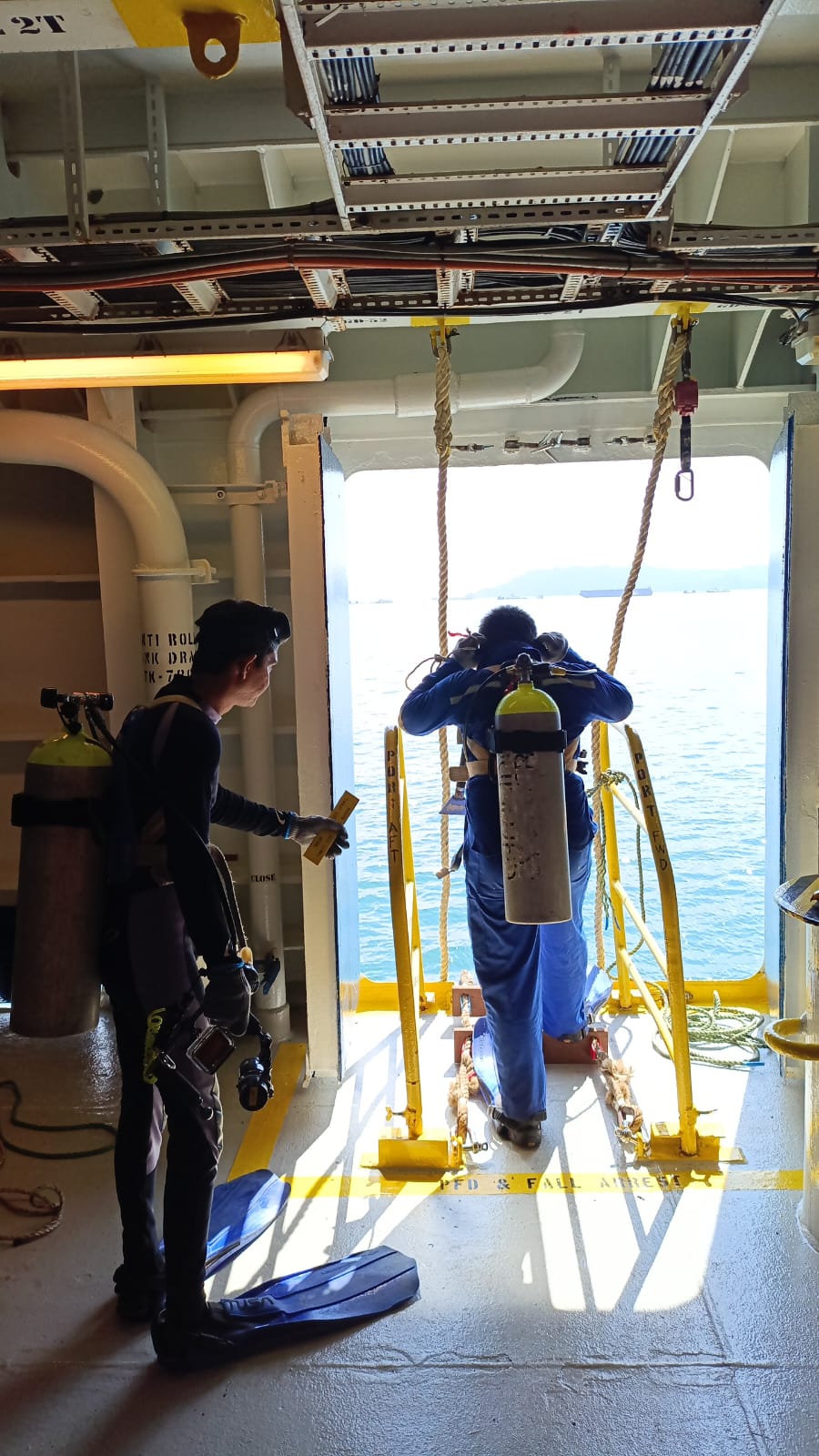 Underwater Cleaning Photo